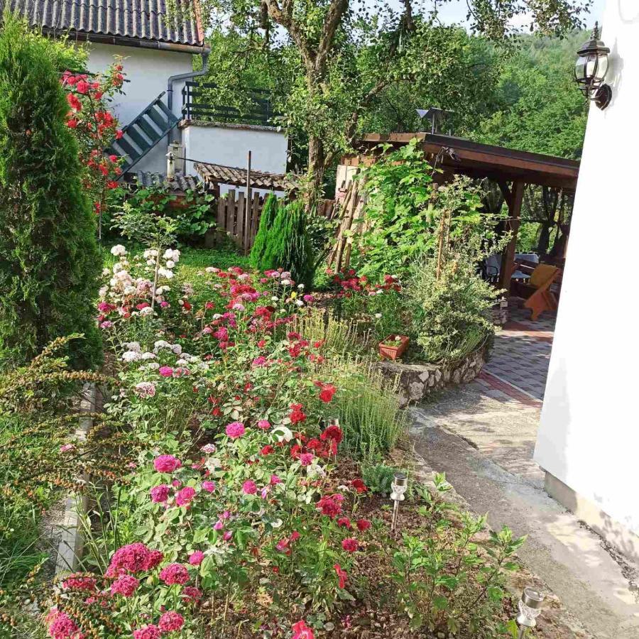 Guest House Bee Visoko Zewnętrze zdjęcie