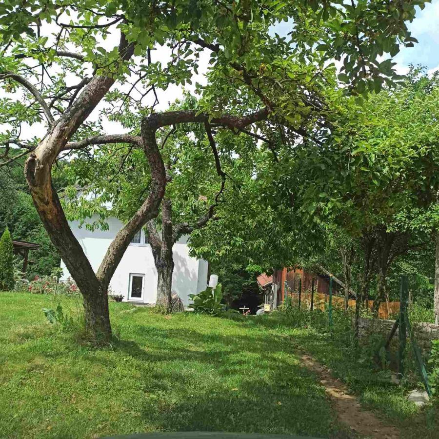 Guest House Bee Visoko Zewnętrze zdjęcie