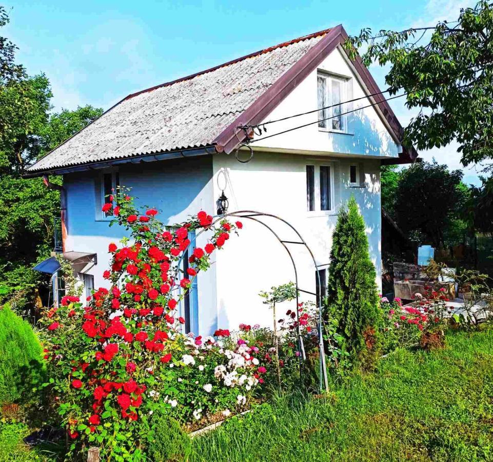 Guest House Bee Visoko Zewnętrze zdjęcie