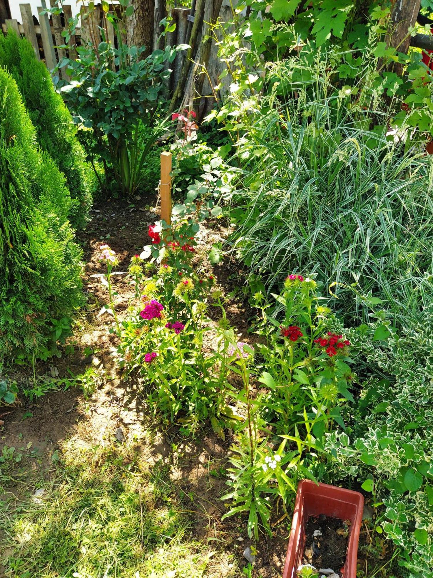 Guest House Bee Visoko Zewnętrze zdjęcie
