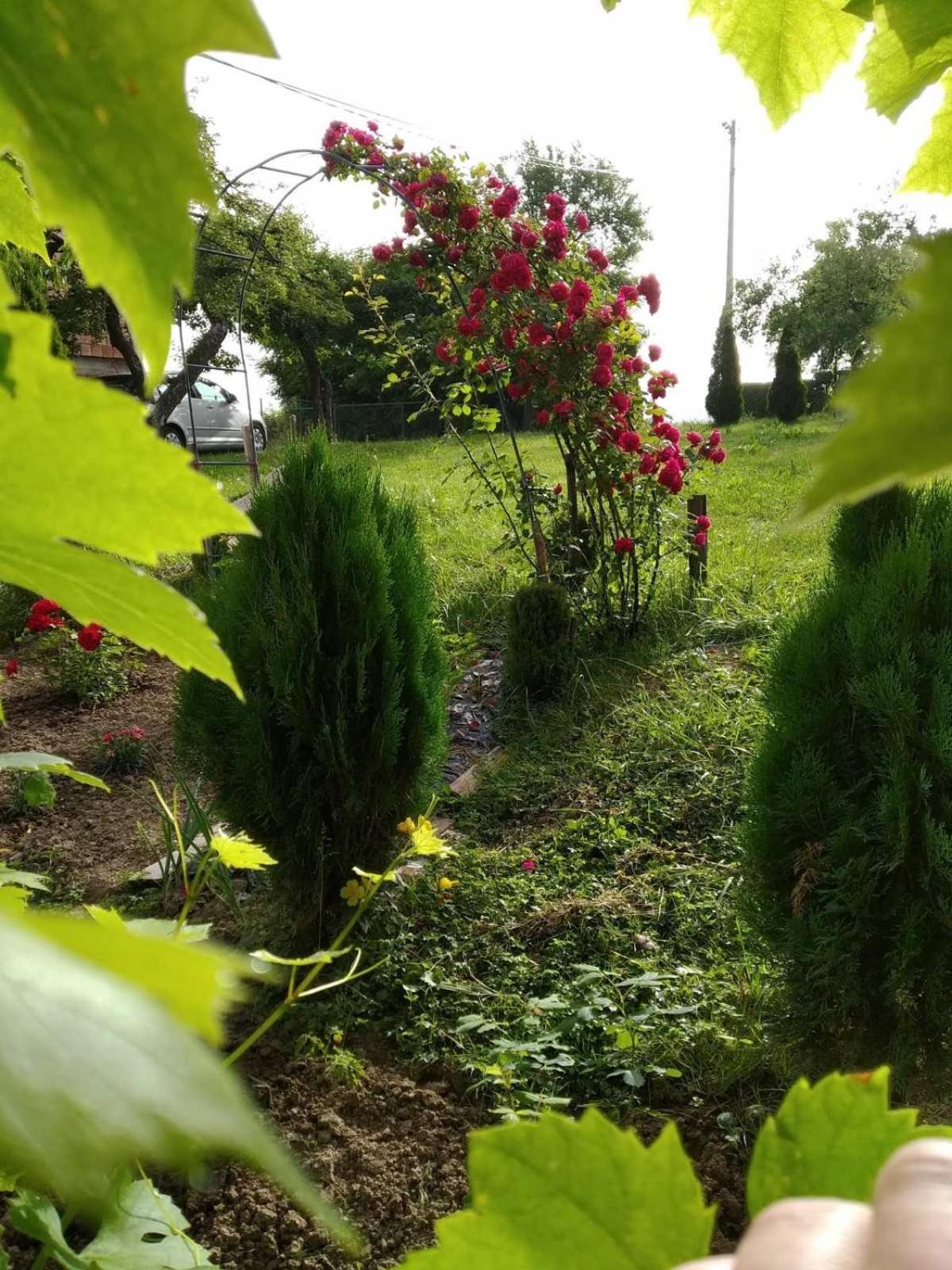 Guest House Bee Visoko Zewnętrze zdjęcie