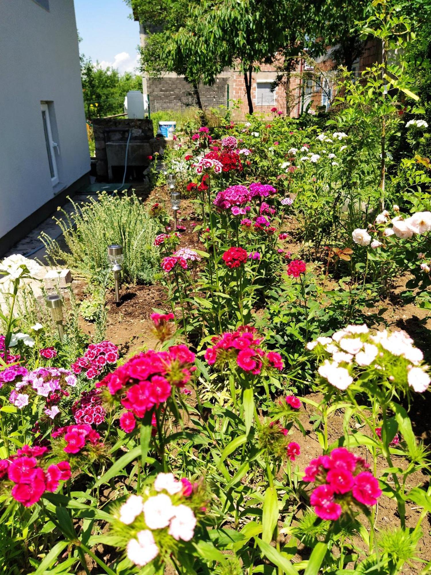 Guest House Bee Visoko Zewnętrze zdjęcie